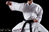 uniforme karate